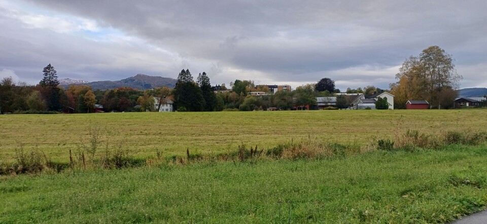 Fra Røssmoen mot Høyskolen og Skei. En åker
