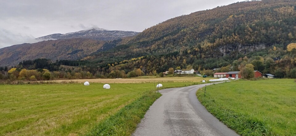 Gårdene ved Røssmoveien mot Ranes og Knyken. Åkrer og gårder