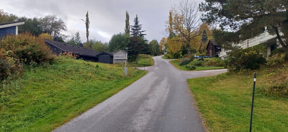 Bakken oppover Leitet. Veier opp til hus