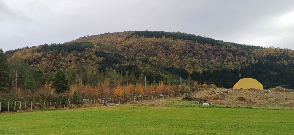Somerfjøshallen til Anders Sæter. Skog med et gult bygg foran