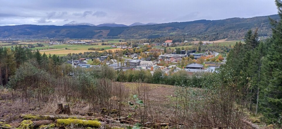 Utsikt over Skei med Hjelmen i bakgrunnen. Utsikt fra skogen og ned mot sentrum av Surnadal