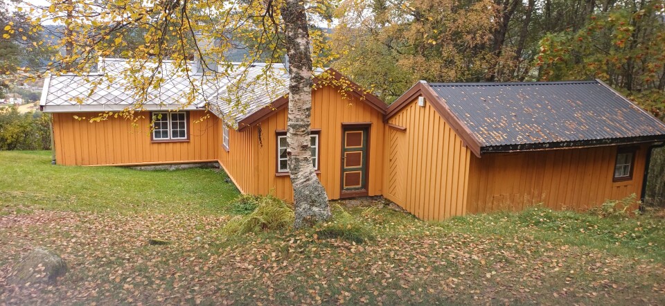 De gule husene på Kleiva. Gule hus i skogen