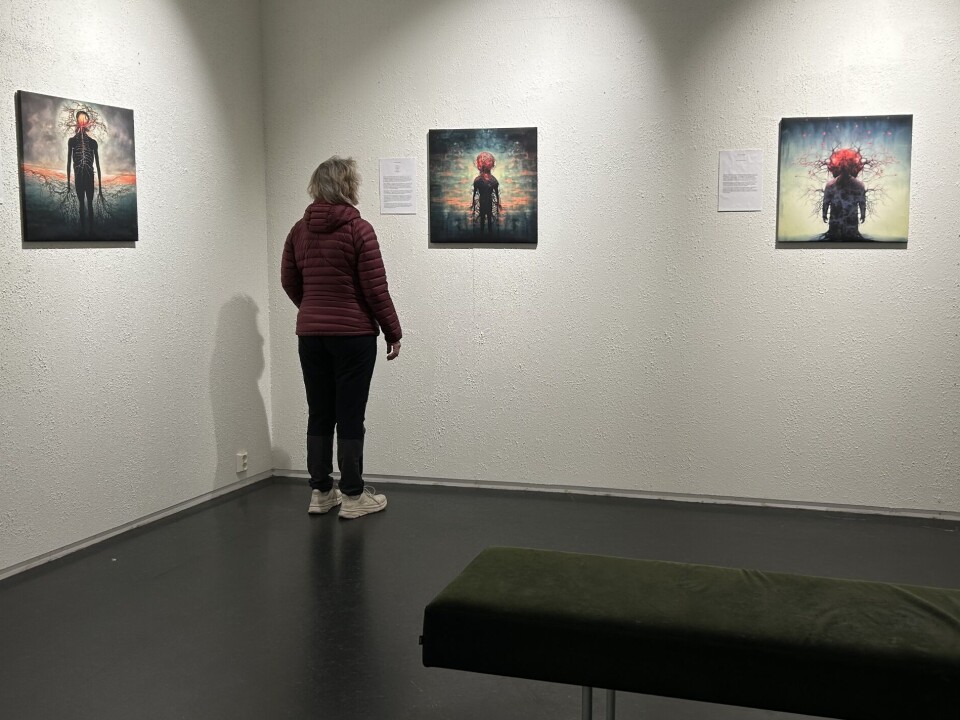Person som ser på bilde på vegg.