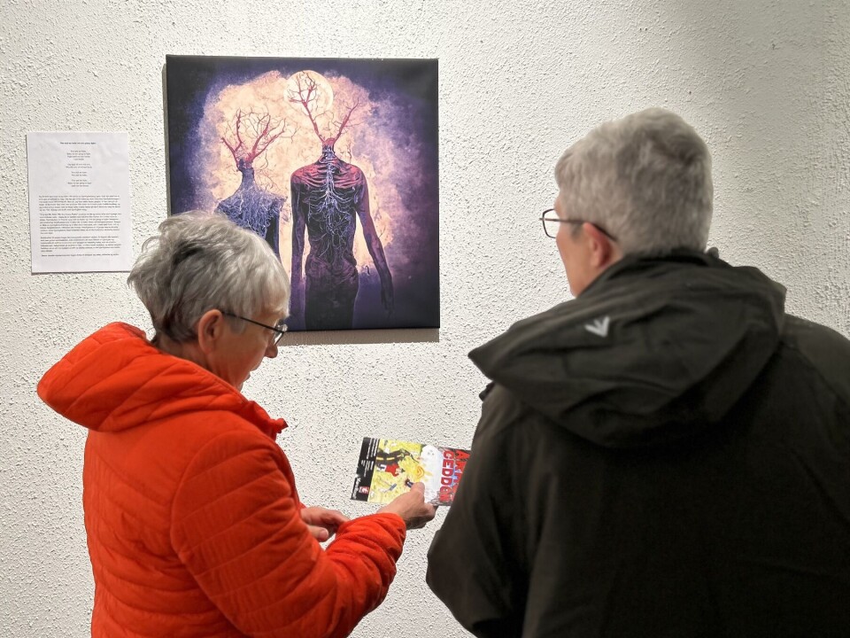 To damer som ser på kunst