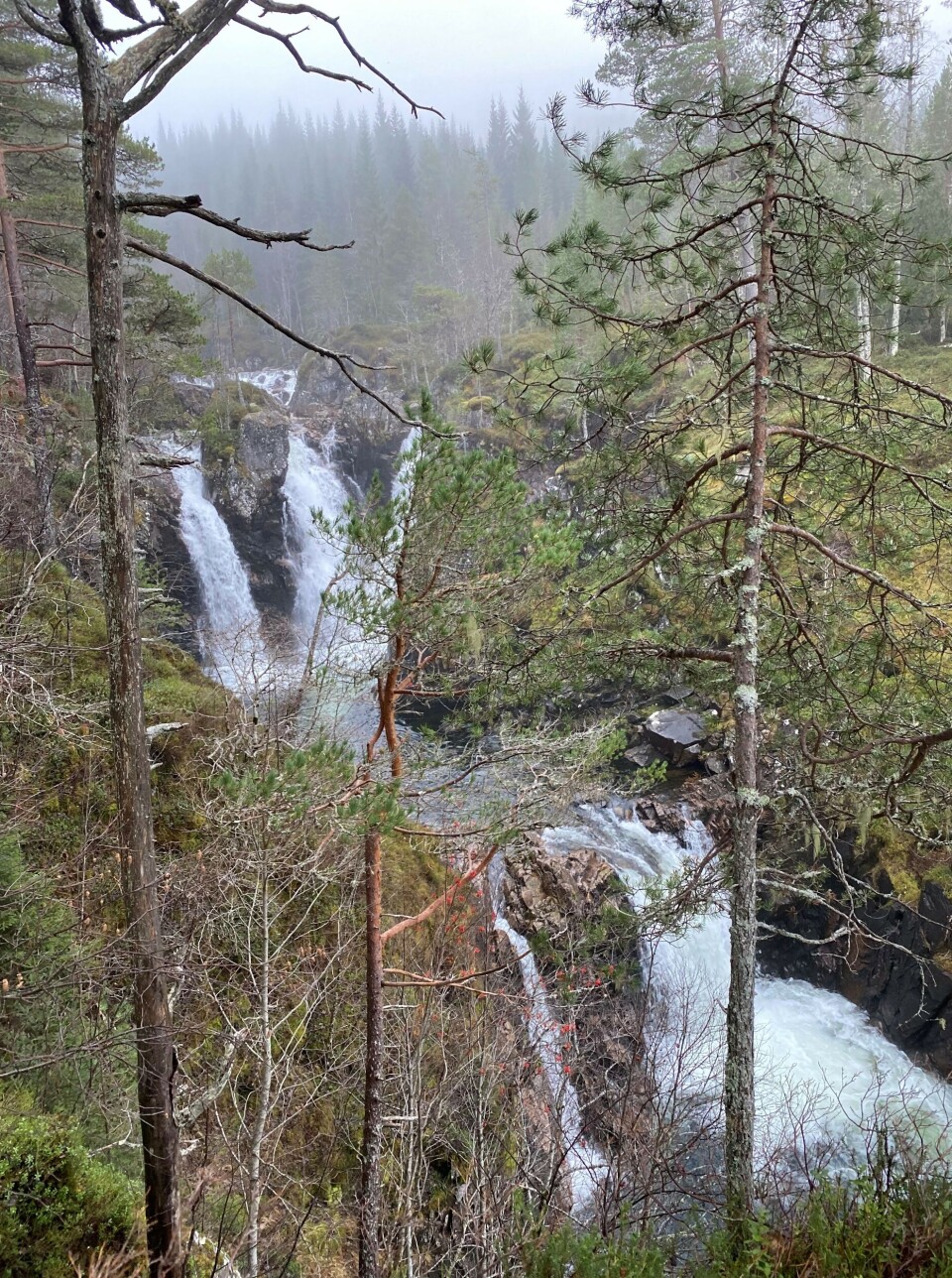 Mærrahålet foss
