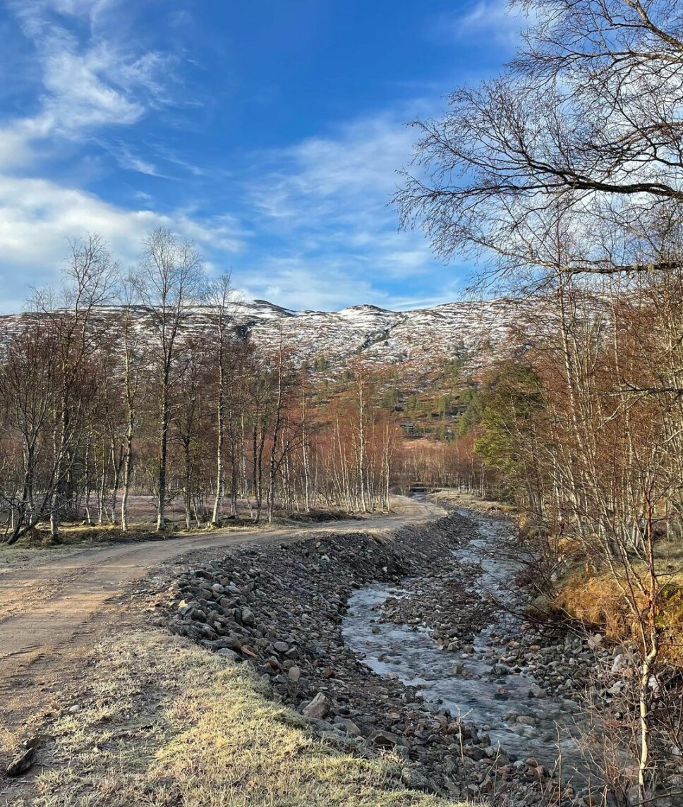 #Vindøldalen og #røstasetra. En bekk, bjørketrær, frossen mark og snødekte fjell i bakgrunnen.