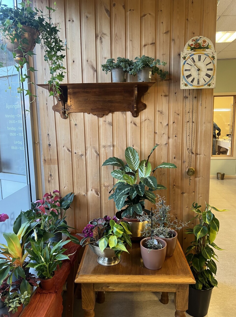 Den einaste veggen i butikken som ikkje er målt. blomster og planter på og foran vegg