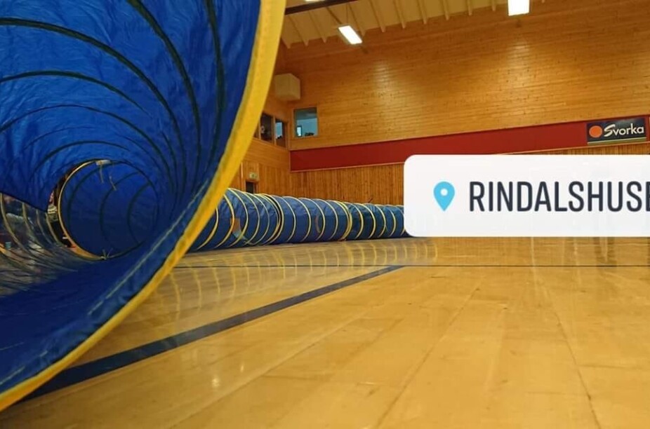 Åpen hall i Rindalshuset