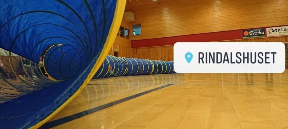 Åpen hall i Rindalshuset