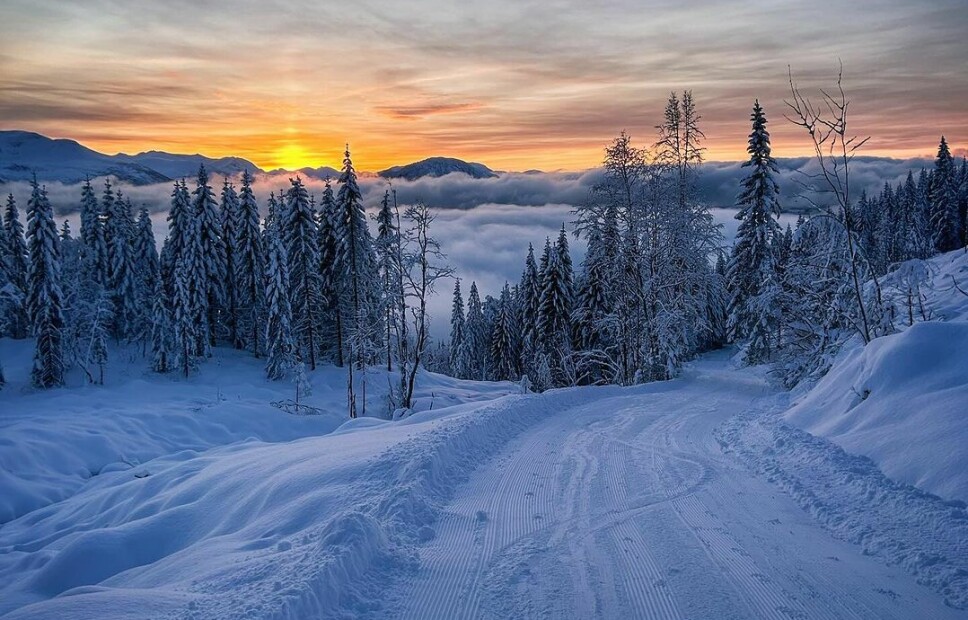 God morgen 24. november skispor naturbilde