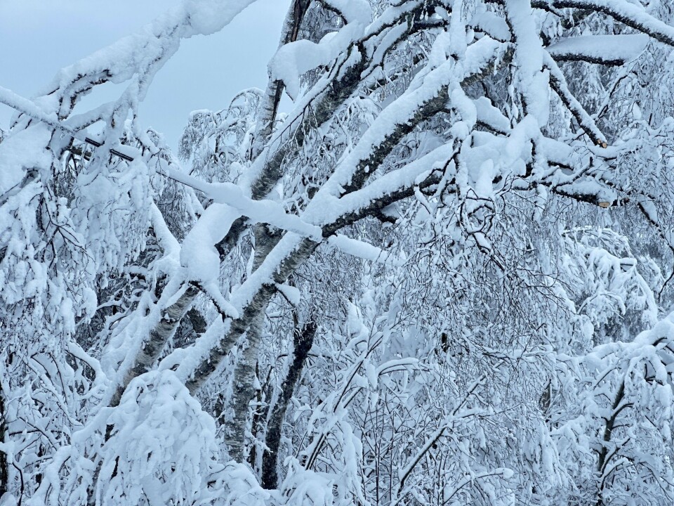 Store snømengder skaper problemer