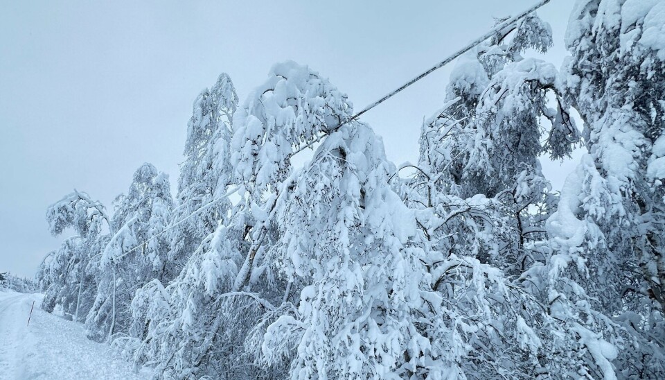 Store snømengder skaper problemer