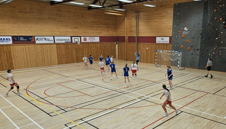Klar seier mot Leksvik håndballkamp