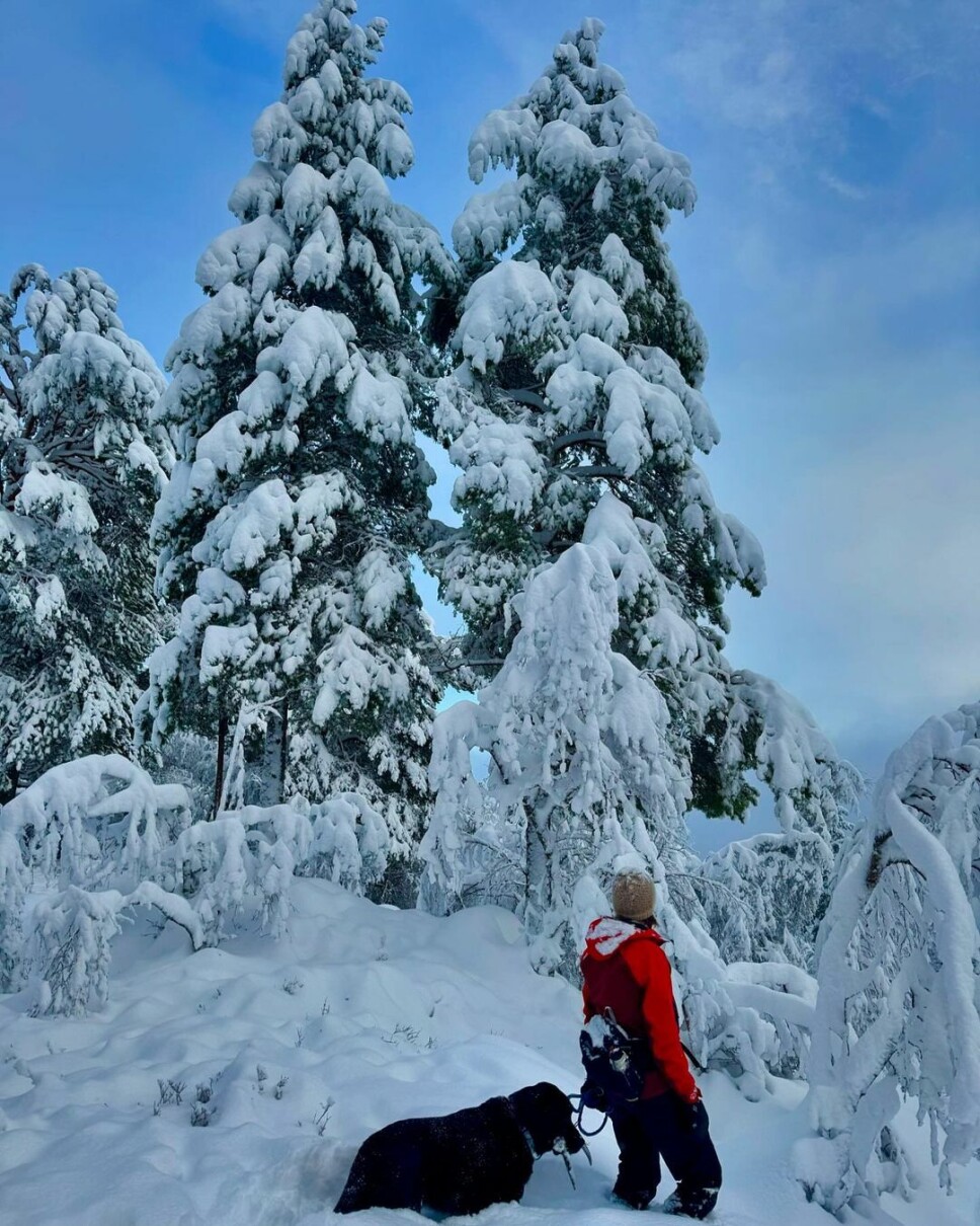 Skogstur🌲in winter wonderland