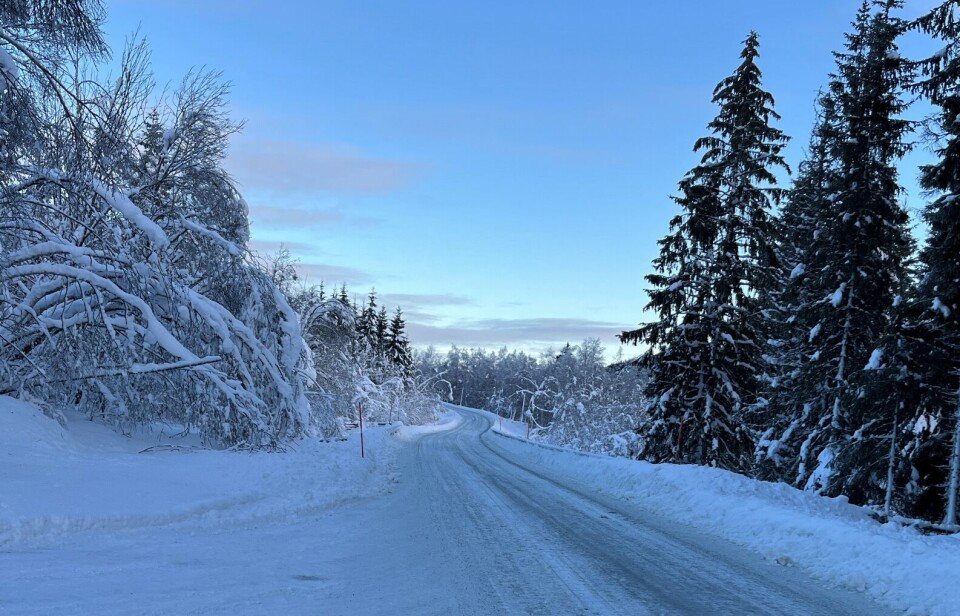 Ved Storbekkbrua på Lomunddalsvegen (ved skytebanen til Lomundal skytterlag). En snølagt veg.