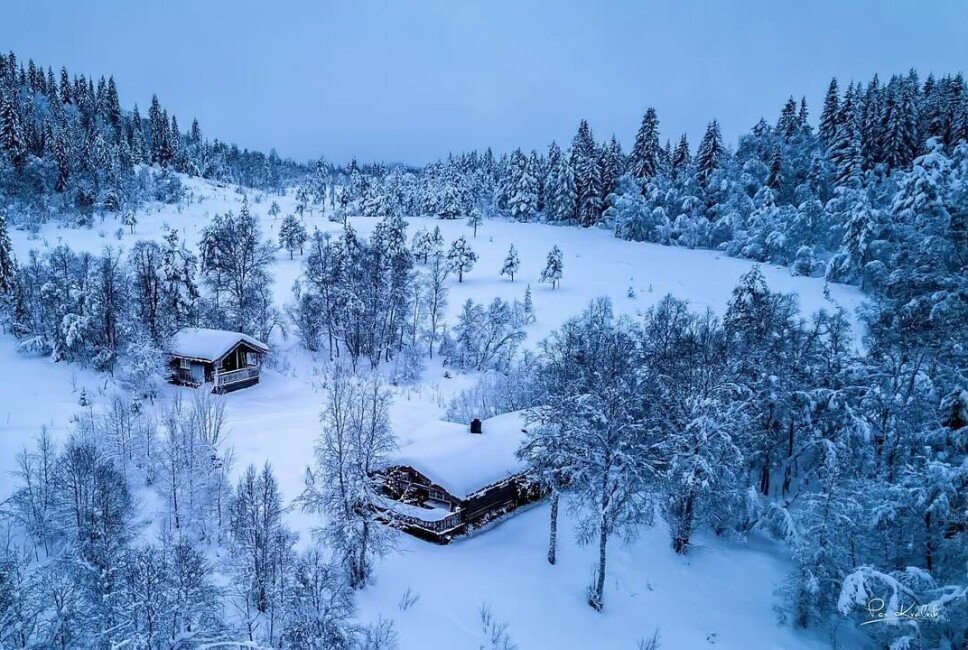 #vinter over #hytta ved #rørvatnet på #rindalsskogen