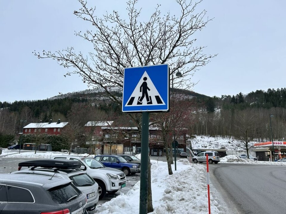 Skei Sentrum. Gangfelt ved Surnadal kulturhus.