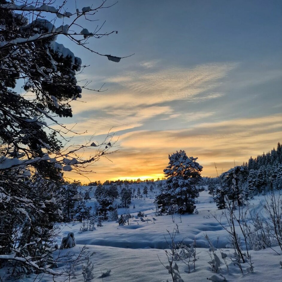 Syltnebba. Snødekt landskap.