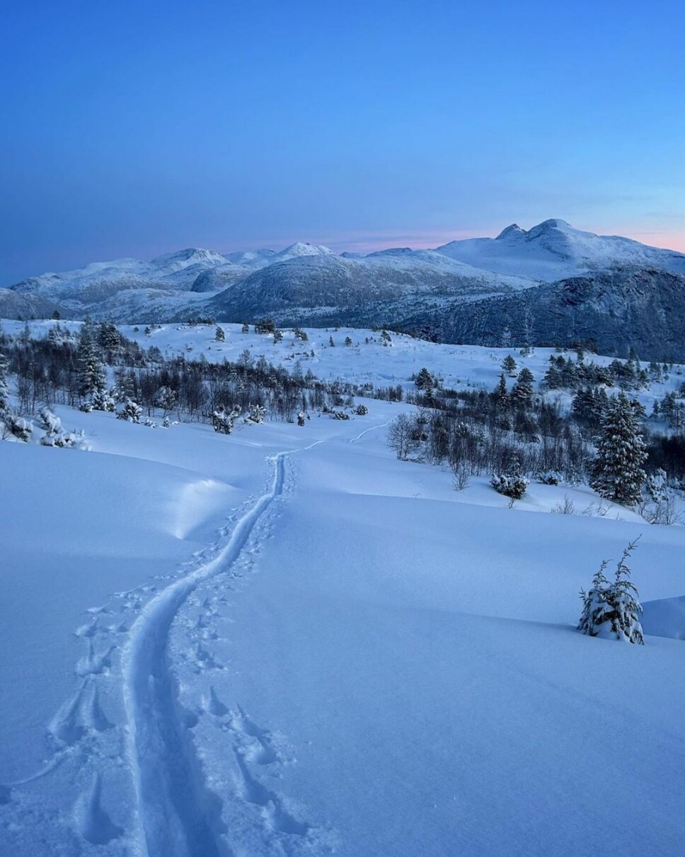 Kveldstur i nydelig lys og føre🥰 Snødekte Surnadalsfjell og skispor