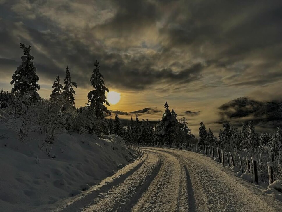 Jul i svingen