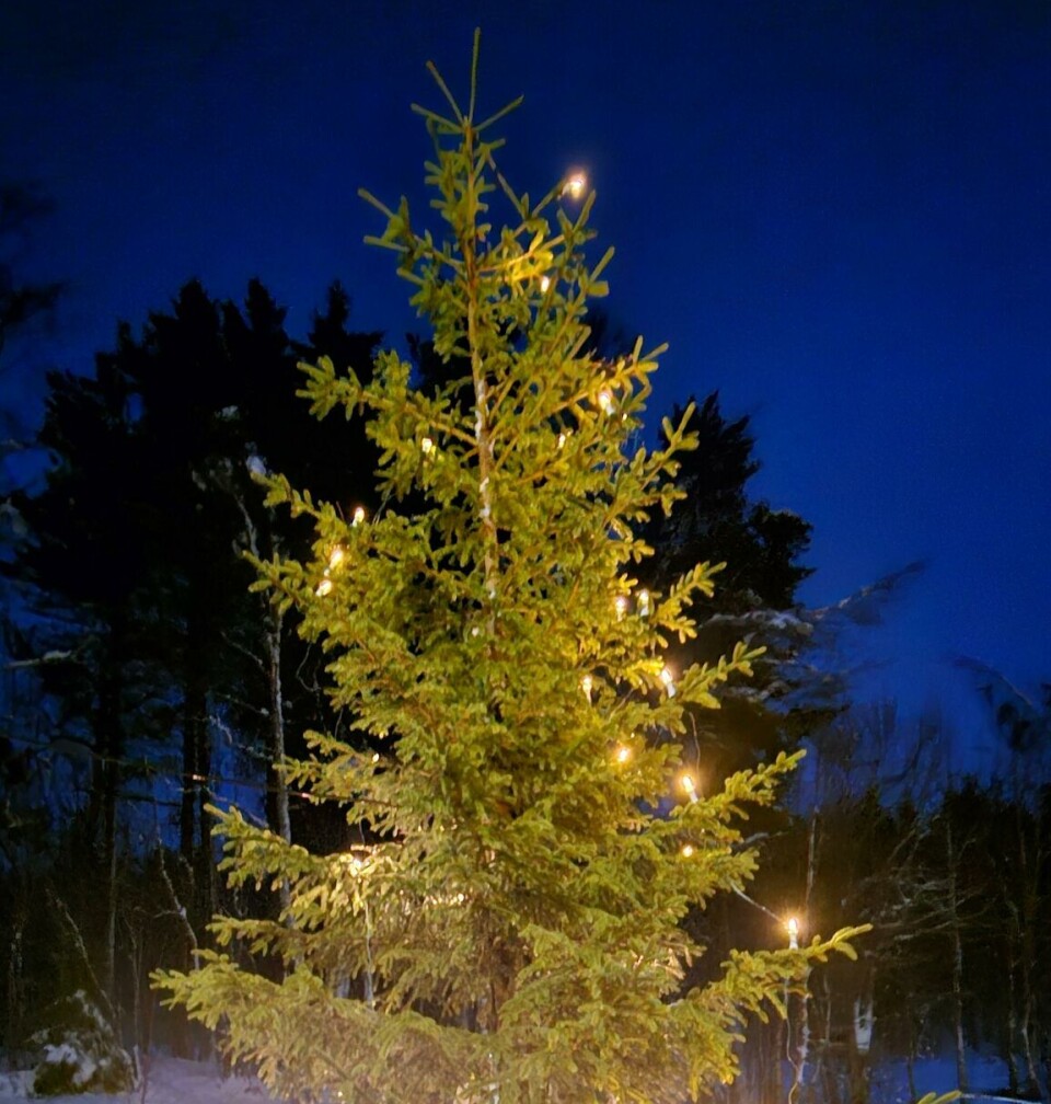 Juletrefest fjerde juledag i Lomunda grendehus Grantre med lys