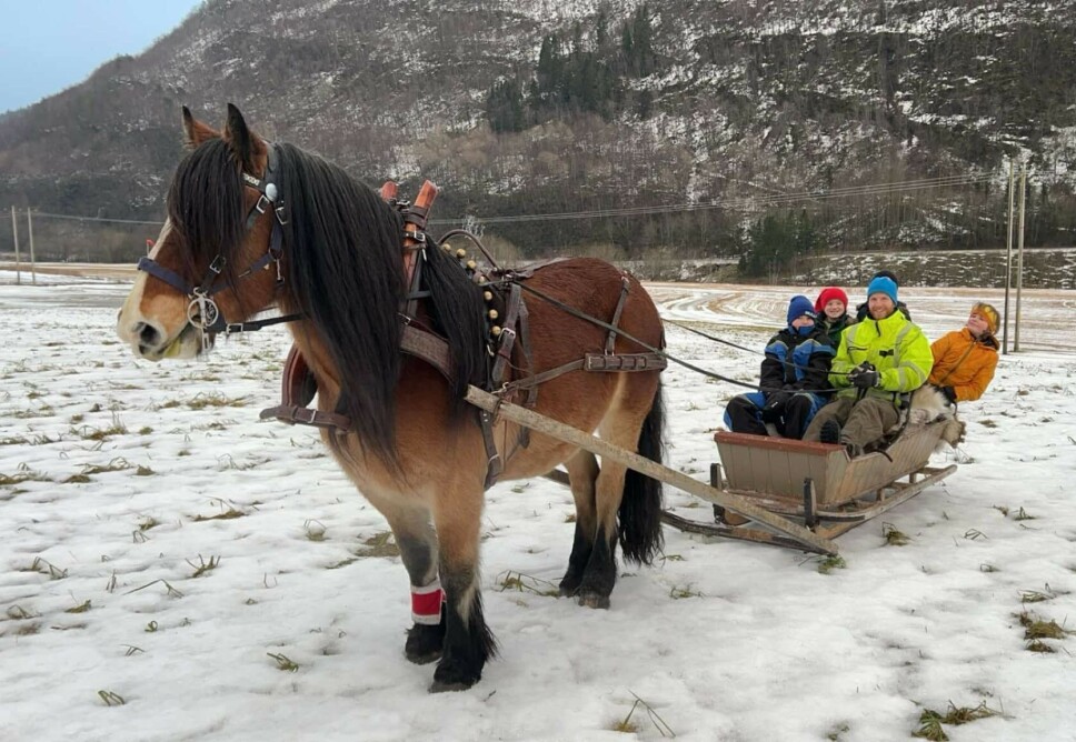 God morgen 28. desember hest med vogn med folk på
