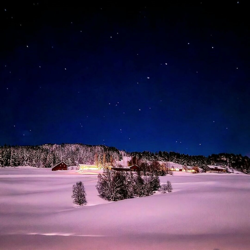 Naboer I måneskinn