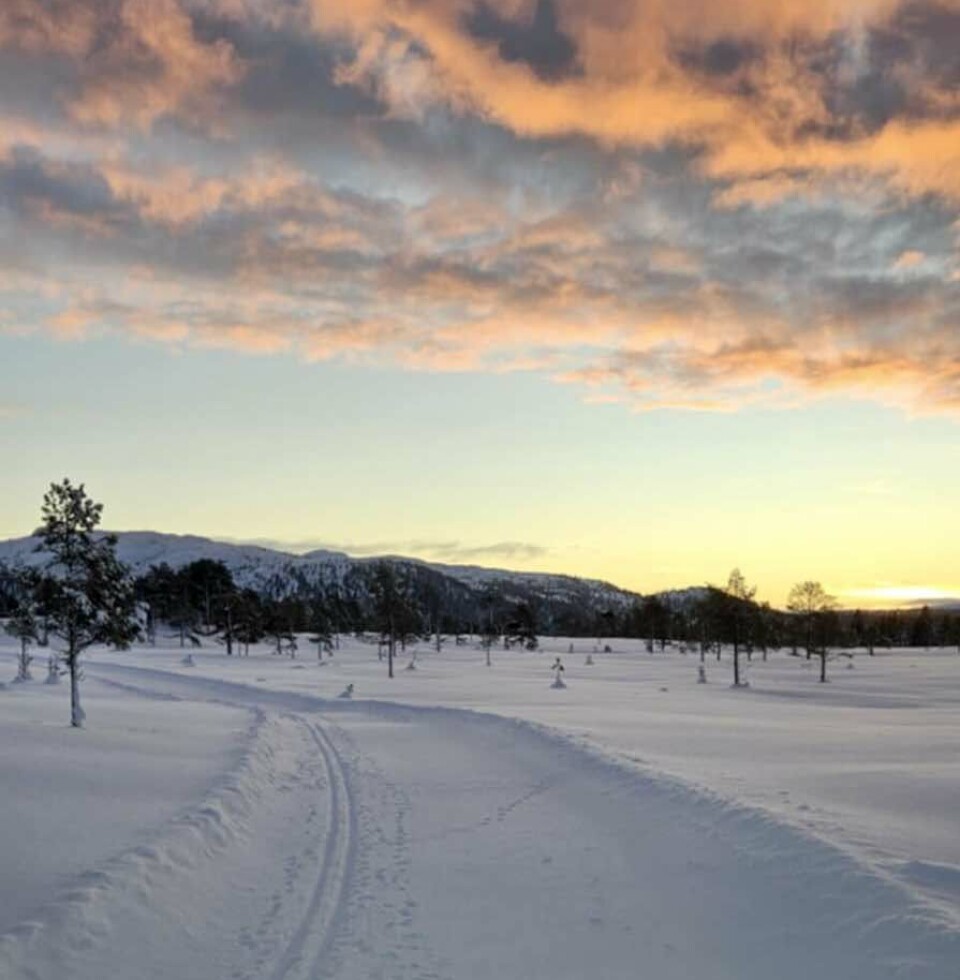 Furuhaugmarka 11.januar