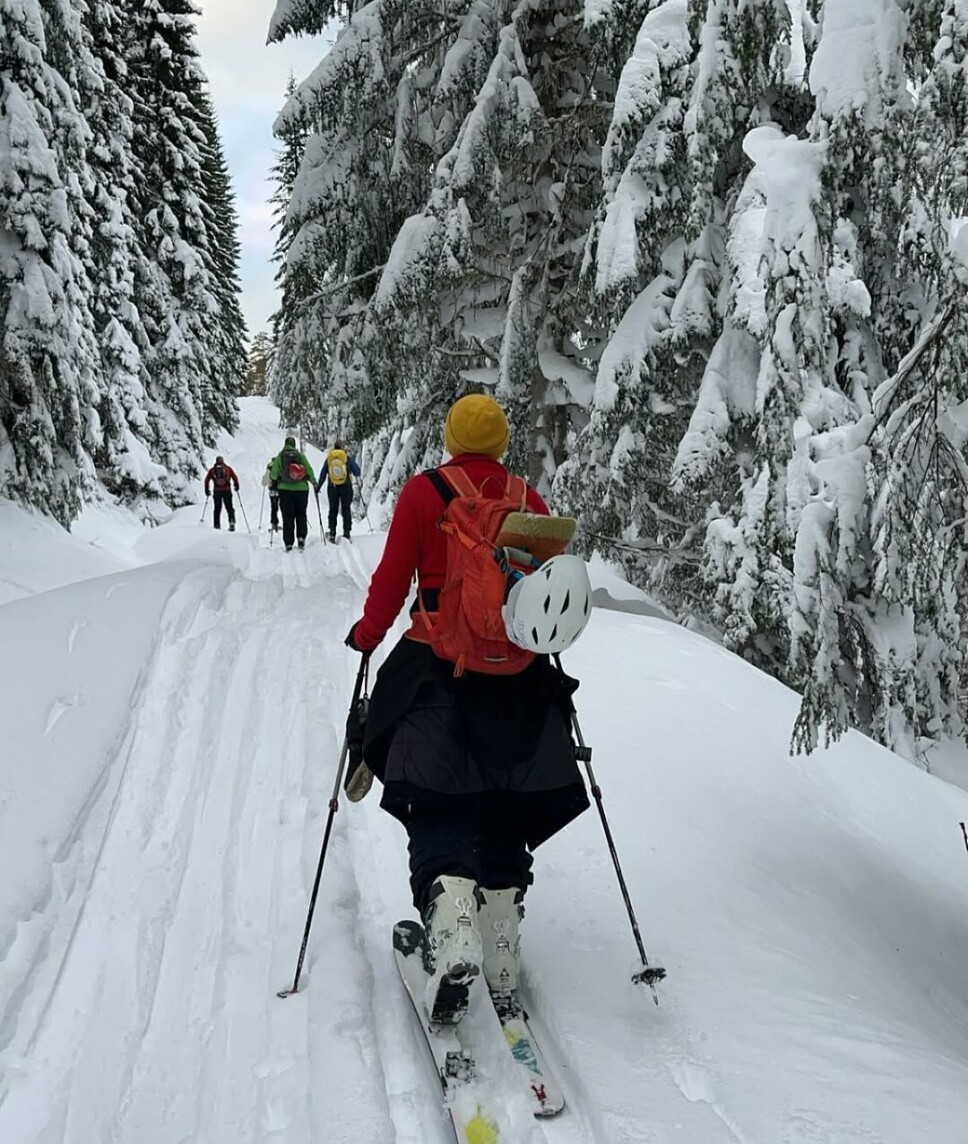 Randonee- tur⛷️
Torvika @oppogut , opp til Torviksetra og videre til Klokkarhaugen 😃😃😃 Flere personer i randoneeutstyr som går i ei skiløype i skogen.
