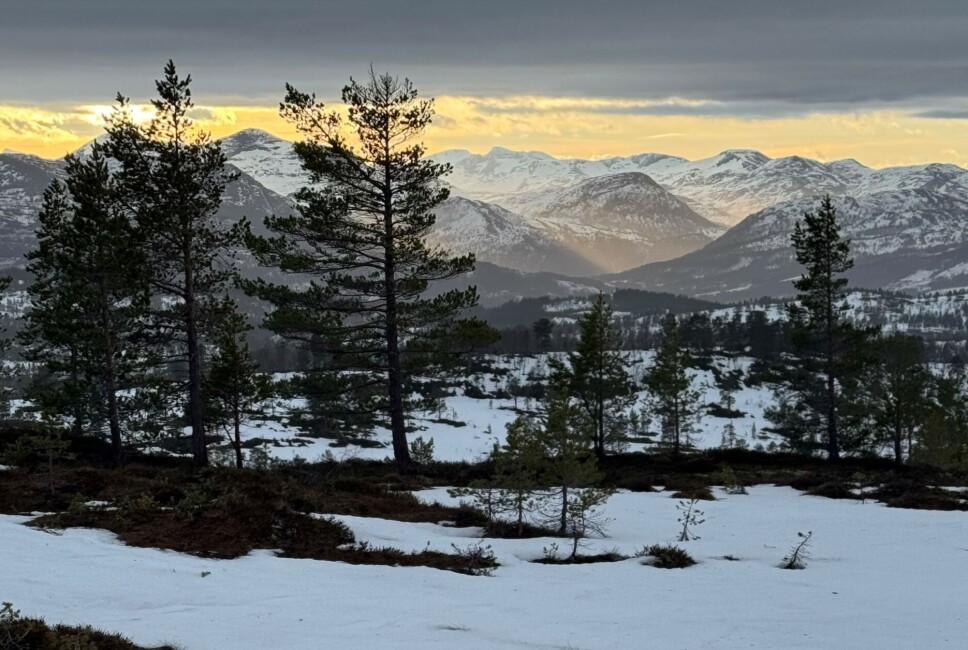 Leålikjølen. utsikt med fjell