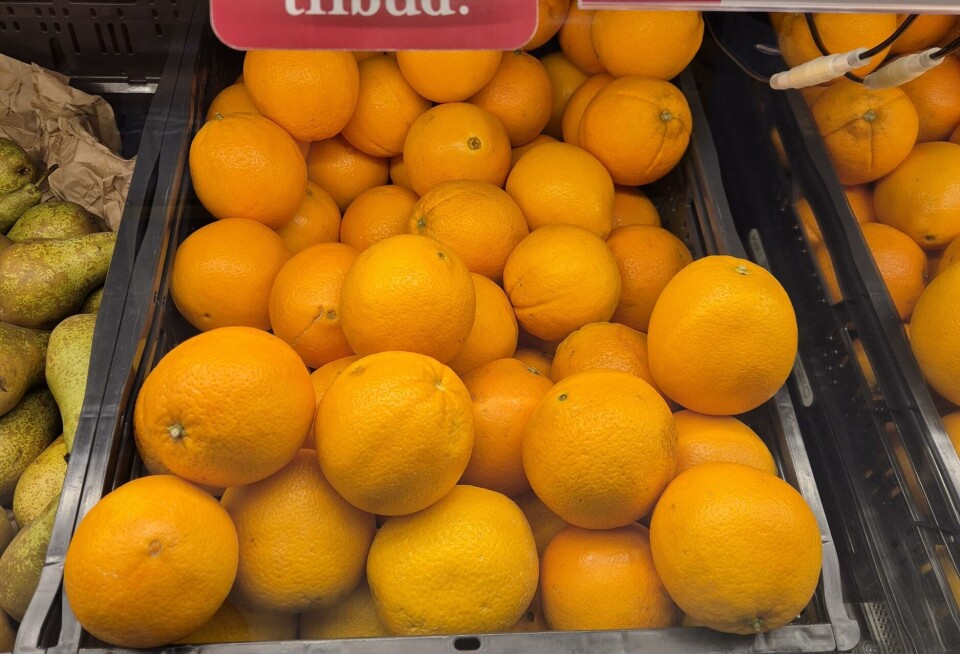 Appelsiner