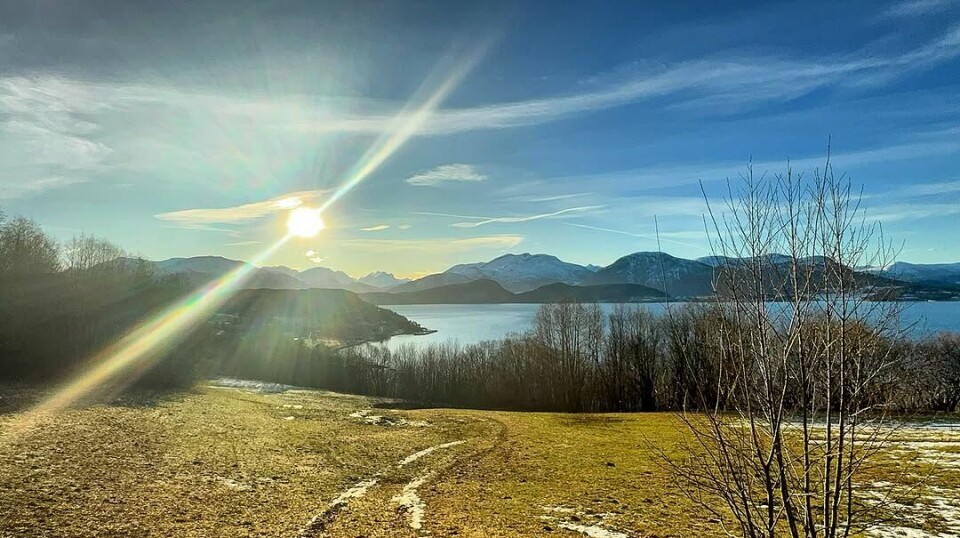 Når januar minner om ein vårdag🤩☀️ Nydelig dag i Stangvika 29. januar. En gressbakke, fjord og fjell, og sol på himmelen.