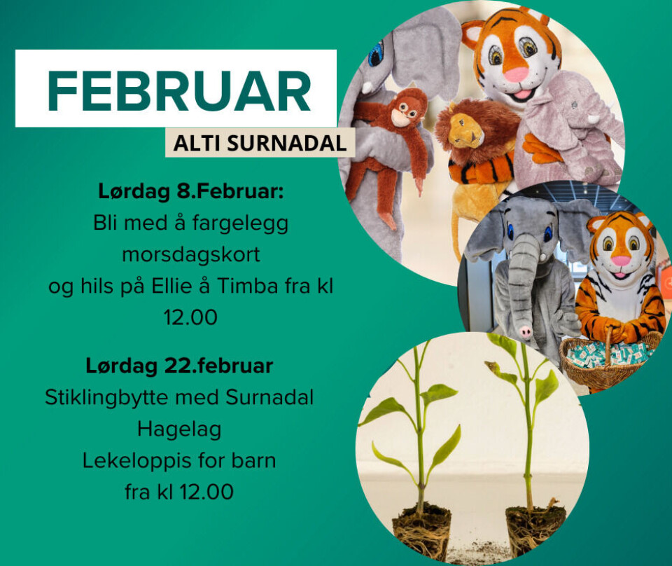 FEBRUAR - Alti Surnadal Reklameplakat for arrangementer hos Alti Surnadal i februar 2025.