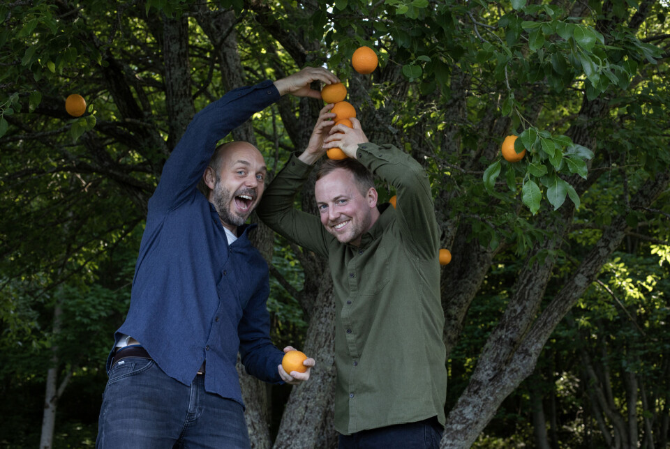 Mandarinsaft spelar fantasirik og herleg barnemusikk