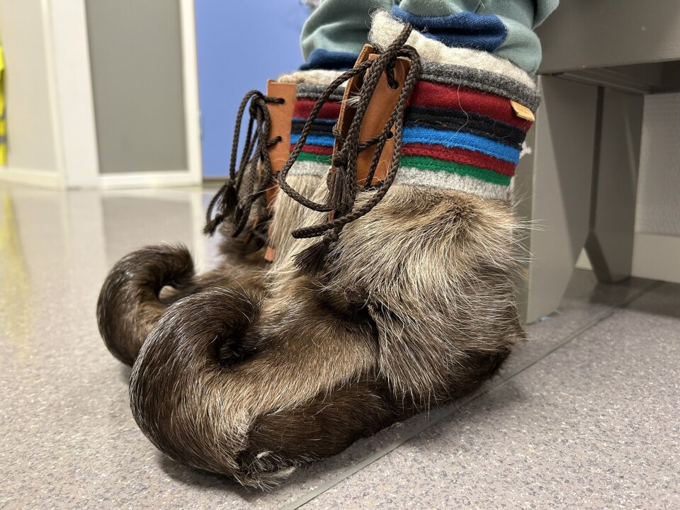 Flotte skaller som holder varmen i mange minus, ikke helt som våre vanlige goretex-vintersko. Skaller av reinsskinn