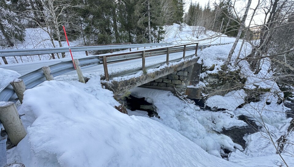 Asphaugbrua på Rørdalsvegen Bilde av bro
