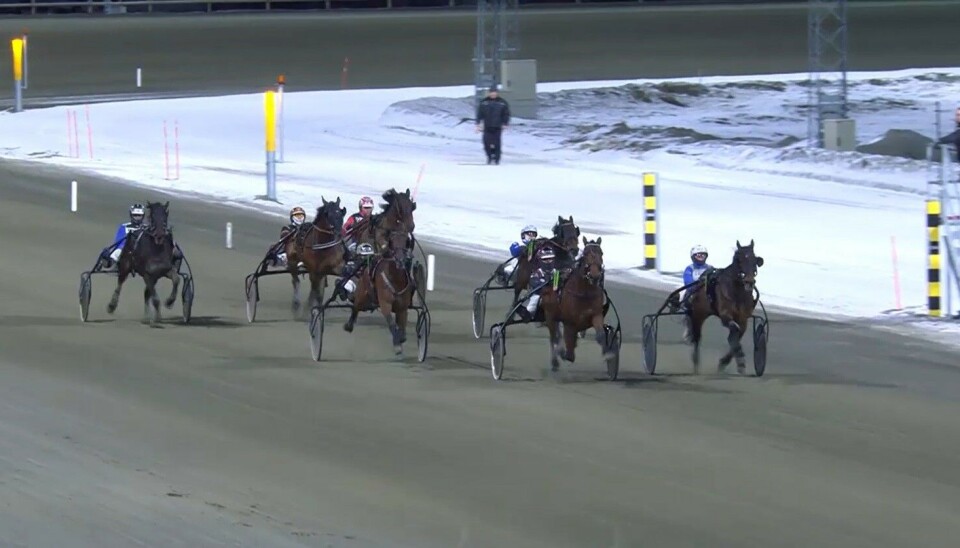 Yesyesyes først i indre spor på oppløpet. Et travløp