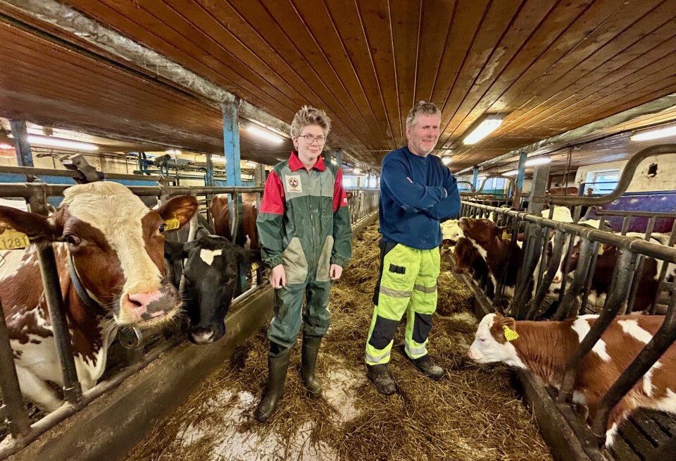 Jarle Møkkelgård (t.h) viser oss rundt sammen med sønnen Håkon. Han er også utdannet agronom, og deler tydelig farens interesse for avlsarbeid. To menn på fôrbrettet.
