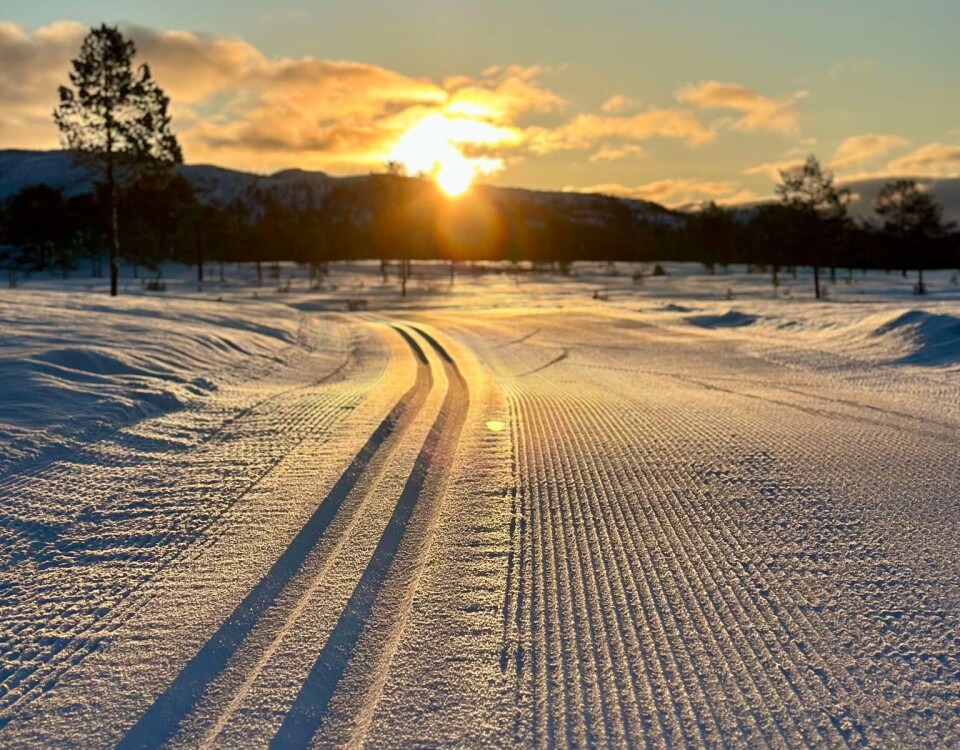 Løype over Furuhaugmarka 15. februar. Ei skiløype i marka.