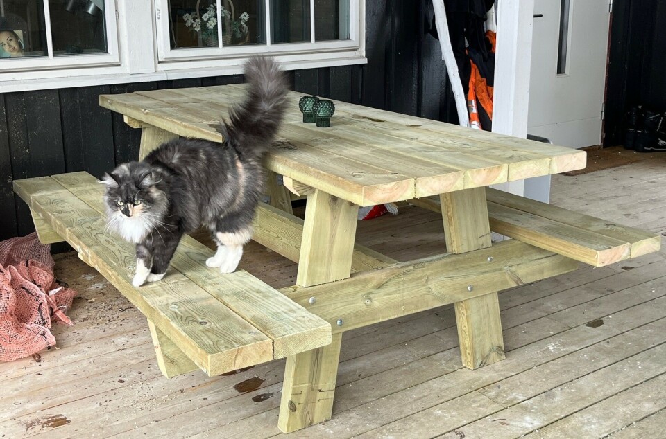 'Rasteplassbord' er ett av mange produkter som Bjorøya gårdsbruk AS kan levere. Et rasteplassbord.