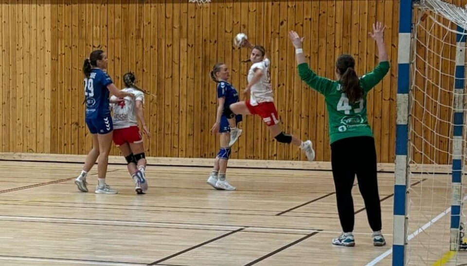 Rindal Il D3 spilte lørdag mot NTNUI 2 i Rindalshuset, her fra kampen mot Stjørdal tidligere i sesongen Håndballspiller på banen i hvit, blå og grønne drakter