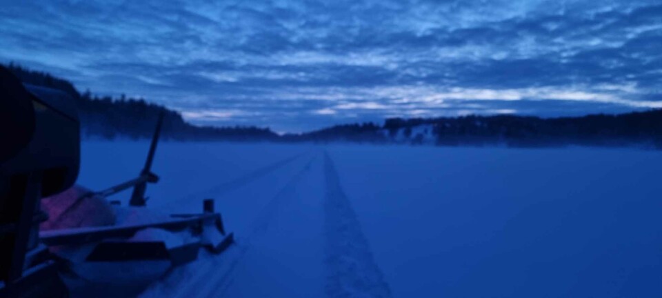 Nye løypemeldinger