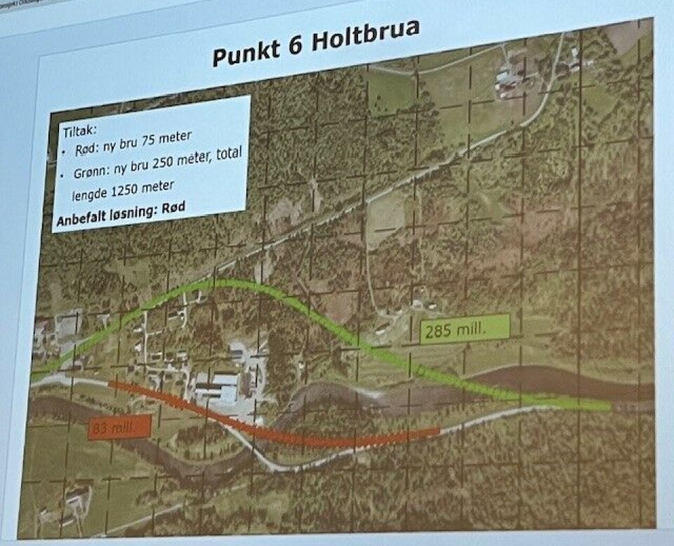 For Holtbrua på Rindalsskogen er det røde alternativet anbefalt. Flere av tilhørerne på møtet foreslo imidlertid en annen løsning, som ikke er skissert på kartet, om å legge vegen mellom Holtbrua og Tiåbrua på nordsida av Sunna/Surna, med ny bru over Lomunda. Da er ville det blitt bare ei bru på strekningen, i stedet for to. Da hadde man også fått trafikken vekk fra vegen i Høgkleivan. Denne vegen er ekstra utsatt for glatt føre, noen som fører til mange utforkjøringer hver eneste vinter. Et kart.