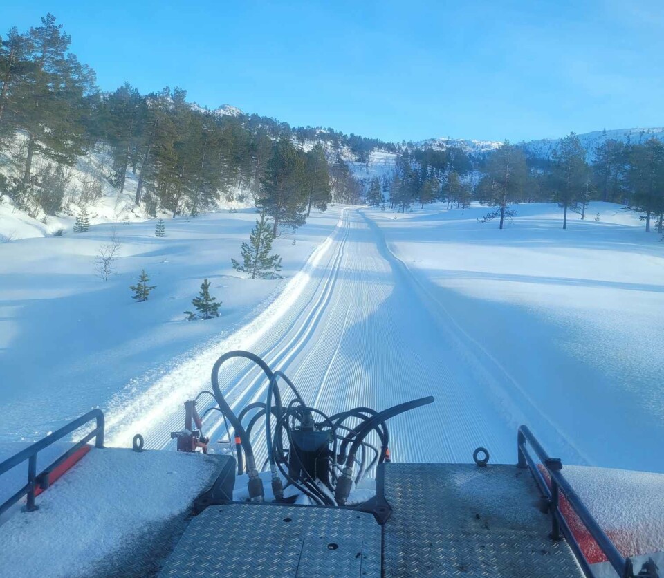Rørdalen/Rindalsskogen 21. februar. Oppkjøring av skiløype.