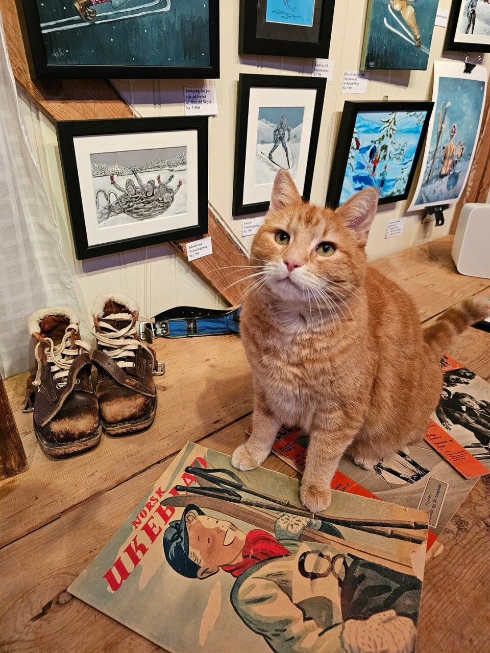God morgen 25. februar En katt.