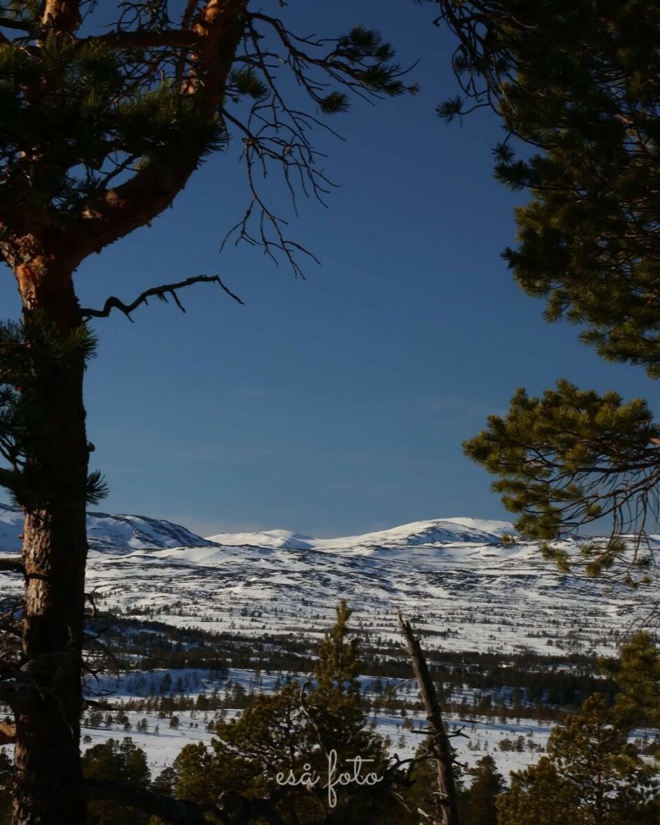Resdalen