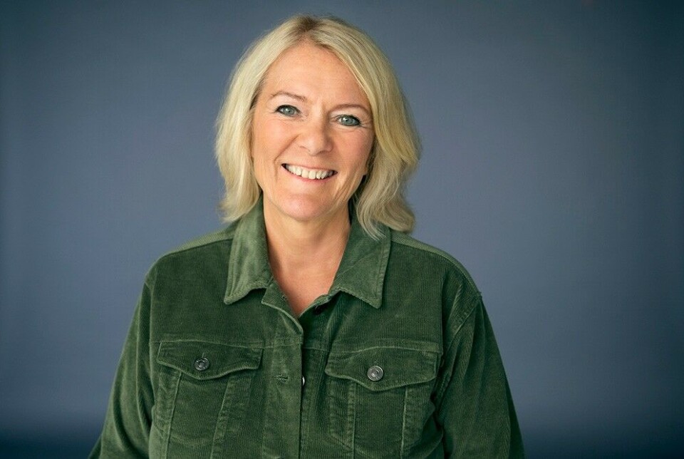 Kristin Clemet. Portrettbilde av ei dame.