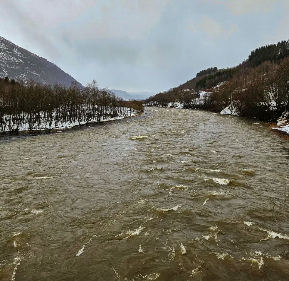 Mye vann! #snøsmelting #surna Ei flomstor elv i snøsmelting.