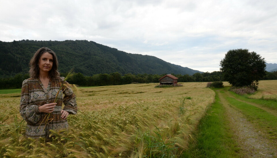 Jenny Klinge. Ei dame som står i en kornåker.