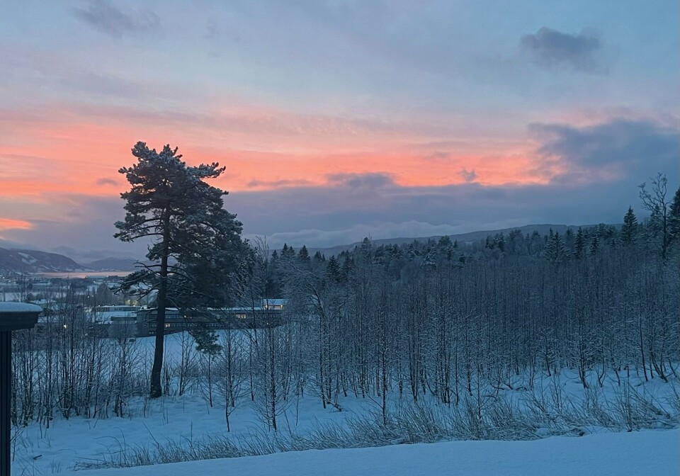 God morgen 17. mars utsikt med rosa himmel